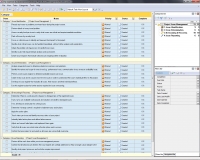 Project Issue Management Checklist